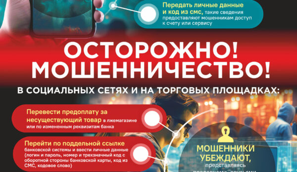 Мошеничество в сети